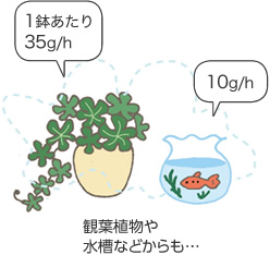 観葉植物（1鉢あたり35g/h）や水槽（10g/h）などからも…
