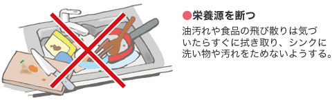 ●栄養源を断つ 油汚れや食品の飛び散りは気づいたらすぐに拭き取り、シンクに洗い物や汚れをためないようにする。