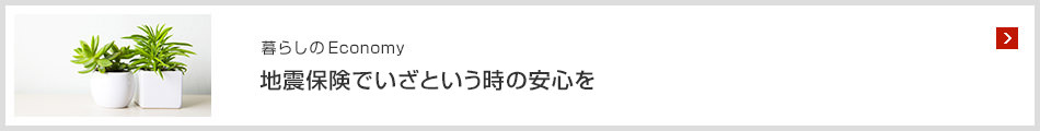 暮らしのEconomy 地震保険でいざという時の安心を