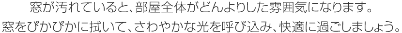 窓が汚れていると、部屋全体がどんよりした雰囲気になります。窓をぴかぴかに拭いて、さわやかな光を呼び込み、快適に過ごしましょう。