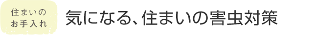 住まいのお手入れ 気になる、住まいの害虫対策